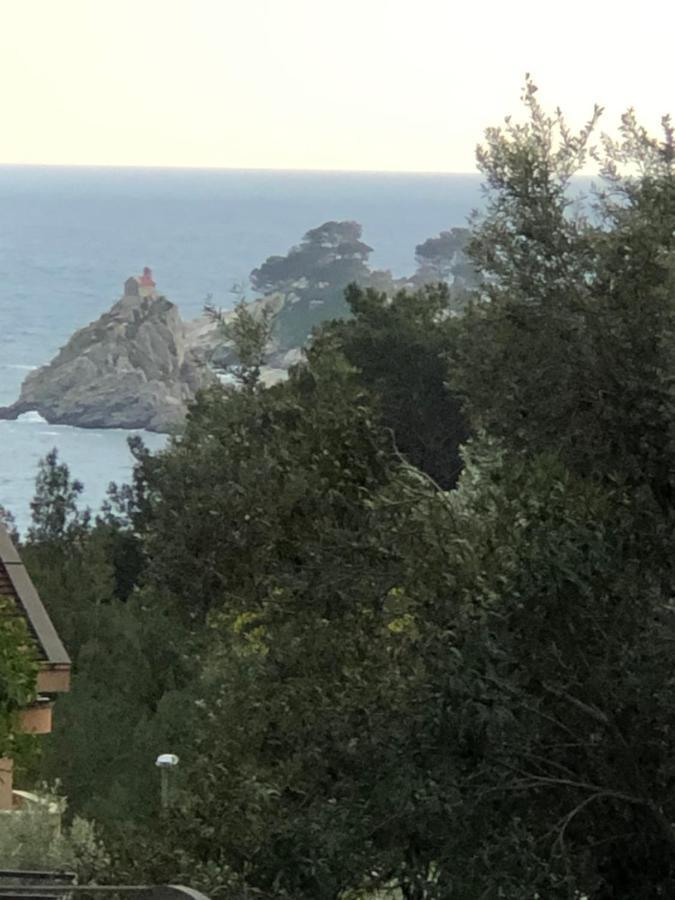 Apartmani Lime Petrovac Zewnętrze zdjęcie