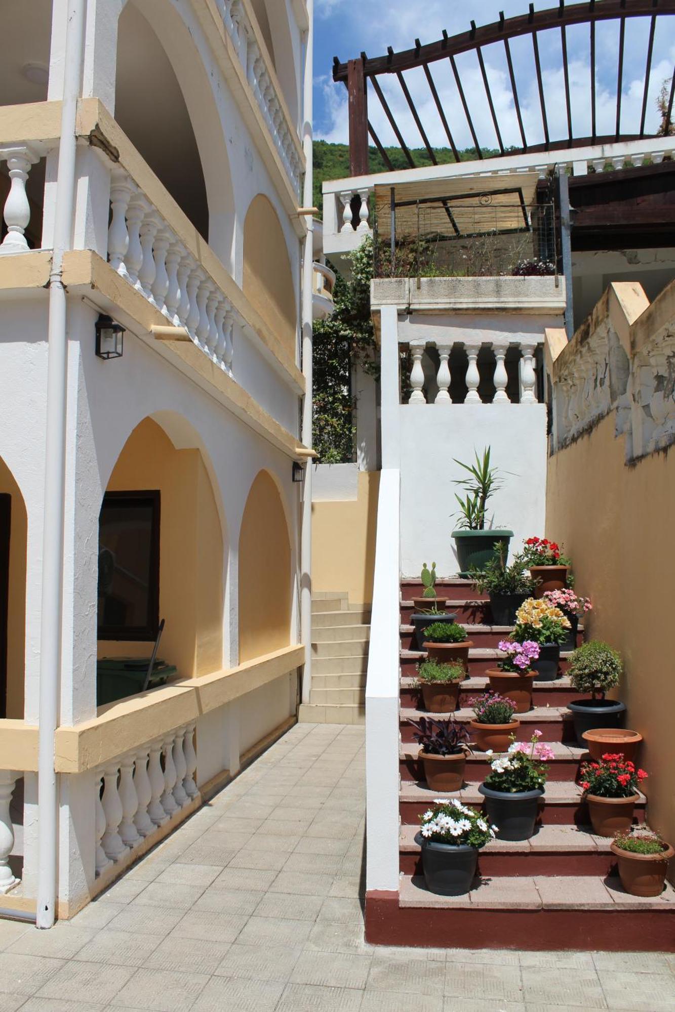 Apartmani Lime Petrovac Zewnętrze zdjęcie